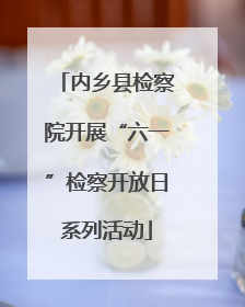 内乡县检察院开展“六一”检察开放日系列活动