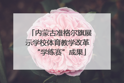 内蒙古准格尔旗展示学校体育教学改革“学练赛”成果