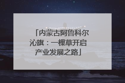内蒙古阿鲁科尔沁旗：一棵草开启产业发展之路