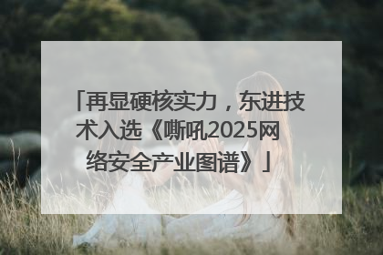 再显硬核实力，东进技术入选《嘶吼2025网络安全产业图谱》