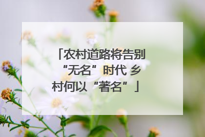 农村道路将告别“无名”时代 乡村何以“著名”