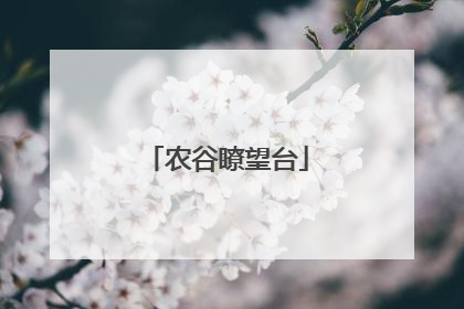 农谷瞭望台