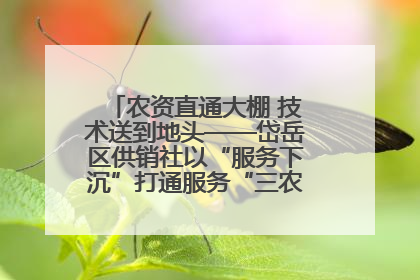 农资直通大棚 技术送到地头——岱岳区供销社以“服务下沉”打通服务“三农”最后一公里