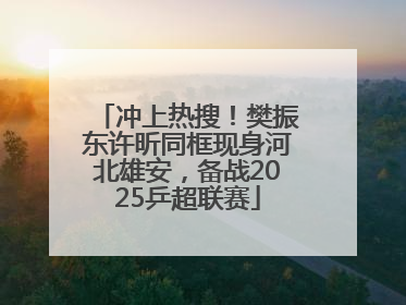 冲上热搜！樊振东许昕同框现身河北雄安，备战2025乒超联赛