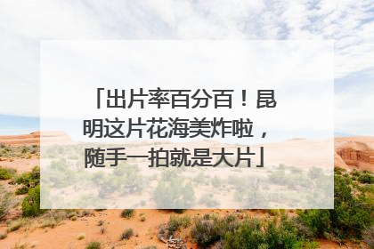 出片率百分百！昆明这片花海美炸啦，随手一拍就是大片