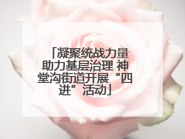 凝聚统战力量 助力基层治理 神堂沟街道开展“四进”活动
