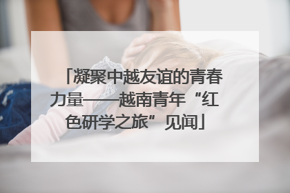 凝聚中越友谊的青春力量——越南青年“红色研学之旅”见闻