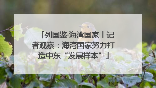 列国鉴·海湾国家丨记者观察：海湾国家努力打造中东“发展样本”