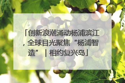 创新浪潮涌动杨浦滨江，全球目光聚焦“杨浦智造”｜相约复兴岛