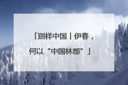 别样中国丨伊春，何以“中国林都”