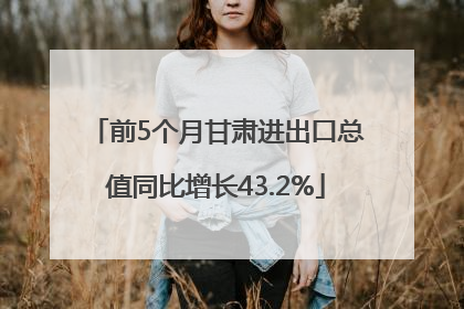 前5个月甘肃进出口总值同比增长43.2%