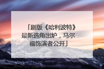 剧版《哈利波特》最新选角出炉，马尔福饰演者公开