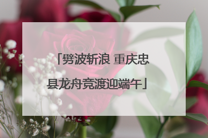劈波斩浪 重庆忠县龙舟竞渡迎端午