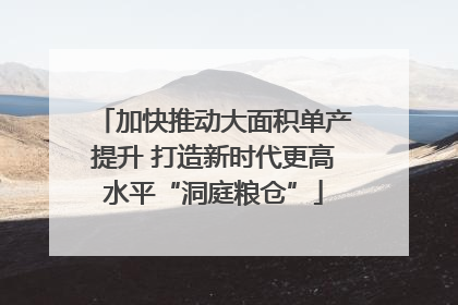 加快推动大面积单产提升 打造新时代更高水平“洞庭粮仓”