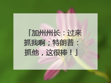 加州州长：过来抓我啊；特朗普：抓他，这很棒！