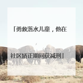 勇救落水儿童，他在社区矫正期间获减刑