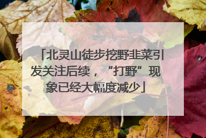 北灵山徒步挖野韭菜引发关注后续，“打野”现象已经大幅度减少