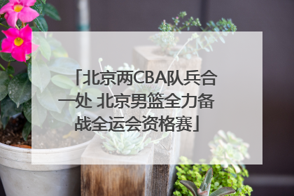 北京两CBA队兵合一处 北京男篮全力备战全运会资格赛