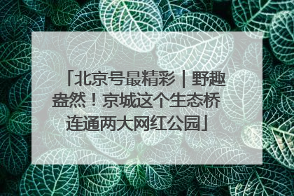 北京号最精彩｜野趣盎然！京城这个生态桥连通两大网红公园
