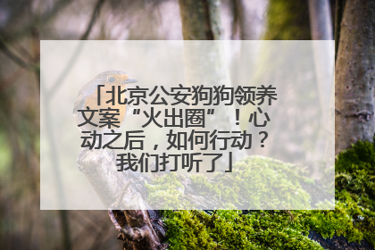 北京公安狗狗领养文案“火出圈”！心动之后，如何行动？我们打听了