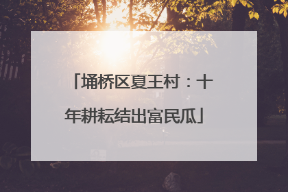 埇桥区夏王村：十年耕耘结出富民瓜