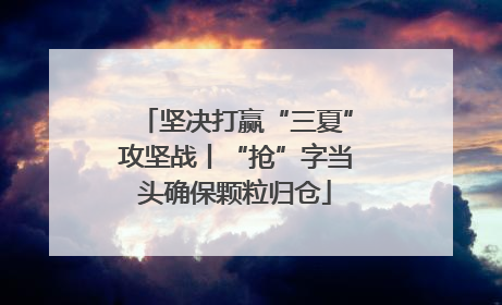 坚决打赢“三夏”攻坚战丨“抢”字当头确保颗粒归仓