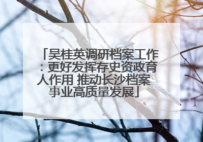 吴桂英调研档案工作：更好发挥存史资政育人作用 推动长沙档案事业高质量发展