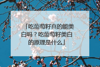 吃葡萄籽真的能美白吗？吃葡萄籽美白的原理是什么