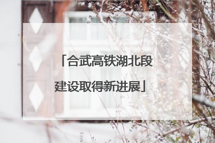 合武高铁湖北段建设取得新进展