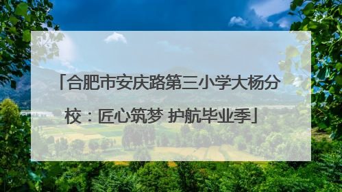 合肥市安庆路第三小学大杨分校：匠心筑梦 护航毕业季