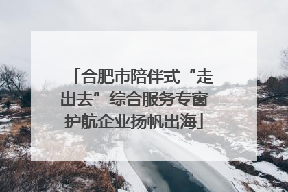 合肥市陪伴式“走出去”综合服务专窗护航企业扬帆出海