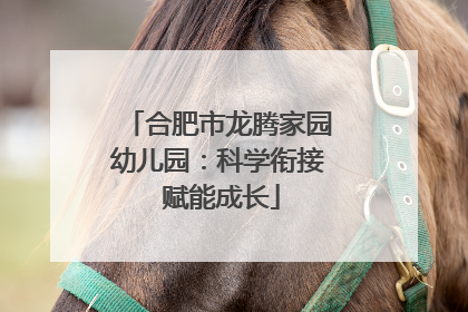 合肥市龙腾家园幼儿园：科学衔接 赋能成长
