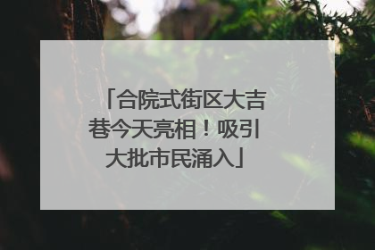 合院式街区大吉巷今天亮相！吸引大批市民涌入