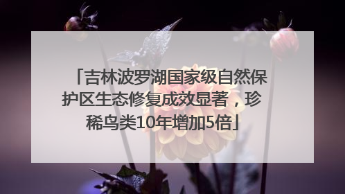 吉林波罗湖国家级自然保护区生态修复成效显著，珍稀鸟类10年增加5倍
