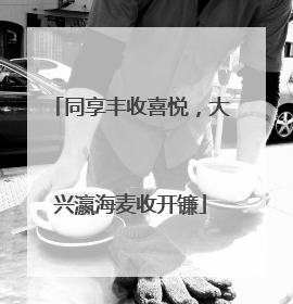 同享丰收喜悦，大兴瀛海麦收开镰