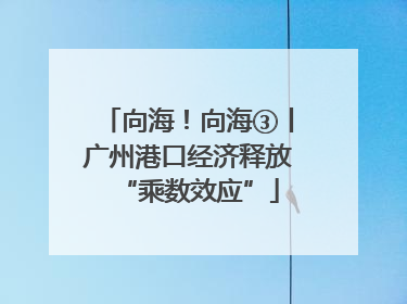 向海！向海③丨广州港口经济释放“乘数效应”