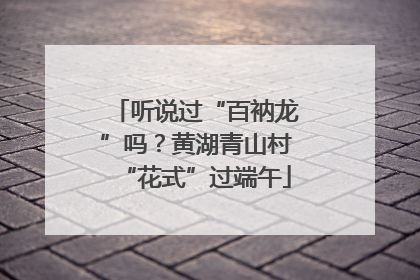 听说过“百衲龙”吗？黄湖青山村“花式”过端午