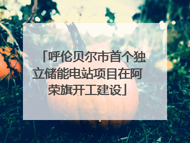 呼伦贝尔市首个独立储能电站项目在阿荣旗开工建设