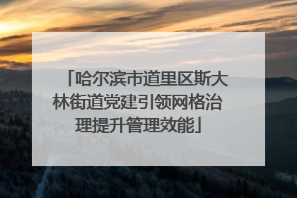 哈尔滨市道里区斯大林街道党建引领网格治理提升管理效能