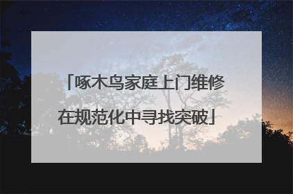 啄木鸟家庭上门维修在规范化中寻找突破