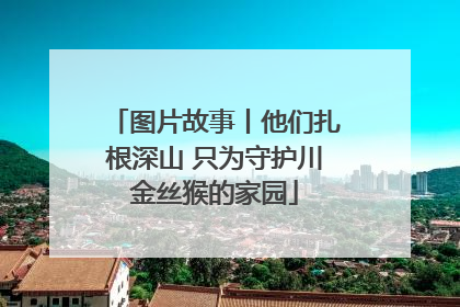 图片故事丨他们扎根深山 只为守护川金丝猴的家园