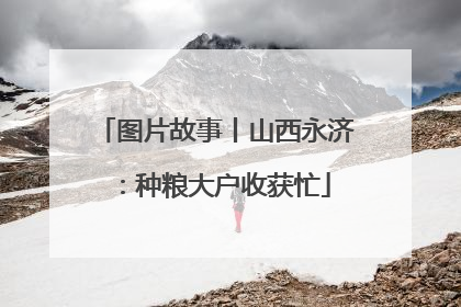 图片故事丨山西永济：种粮大户收获忙