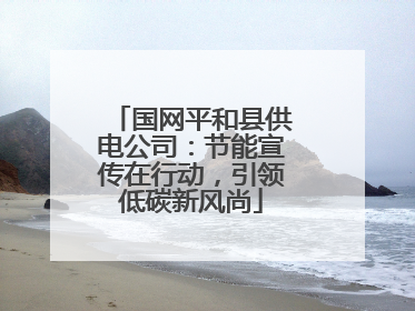 国网平和县供电公司：节能宣传在行动，引领低碳新风尚