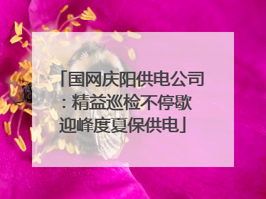 国网庆阳供电公司：精益巡检不停歇 迎峰度夏保供电