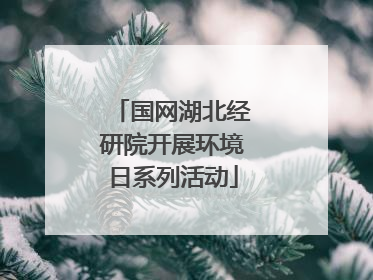 国网湖北经研院开展环境日系列活动