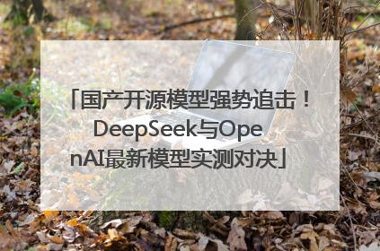国产开源模型强势追击！DeepSeek与OpenAI最新模型实测对决
