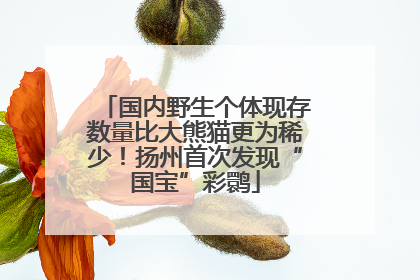 国内野生个体现存数量比大熊猫更为稀少！扬州首次发现“国宝”彩鹮
