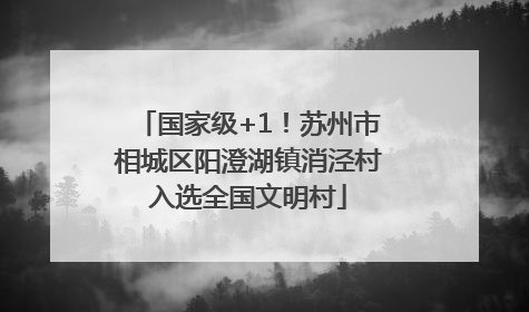 国家级+1！苏州市相城区阳澄湖镇消泾村入选全国文明村