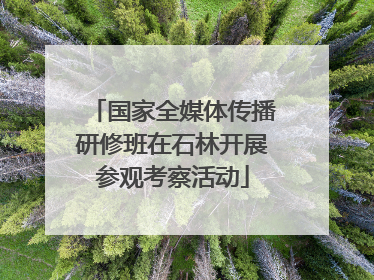 国家全媒体传播研修班在石林开展参观考察活动