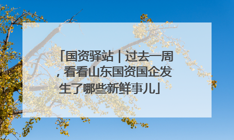 国资驿站｜过去一周，看看山东国资国企发生了哪些新鲜事儿